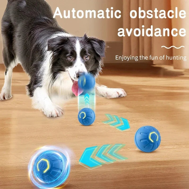 Balle jouet intelligente pour chien