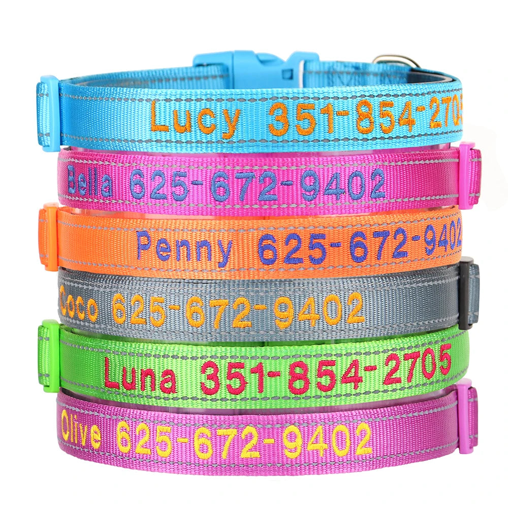 Collier pour chien