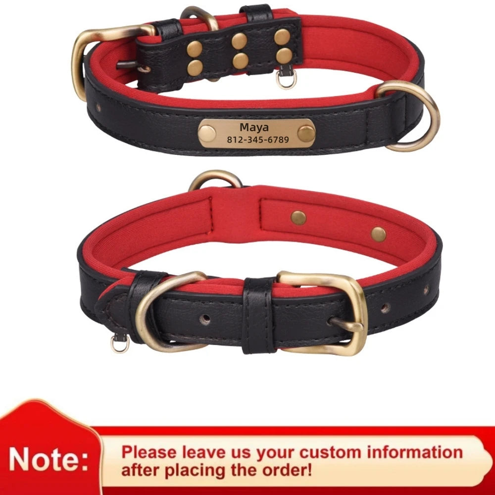 Collier pour chien