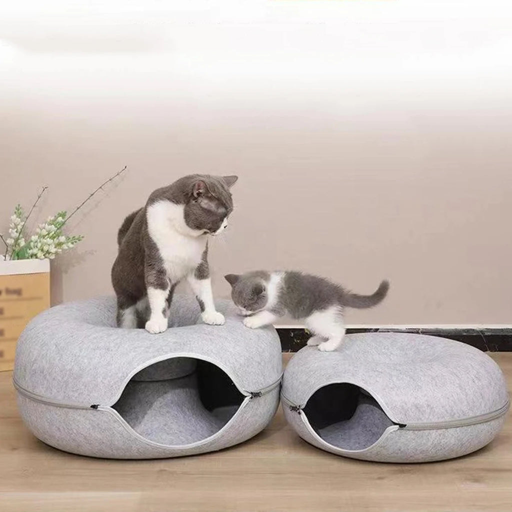 Tunnel interactif rond pour petits chats