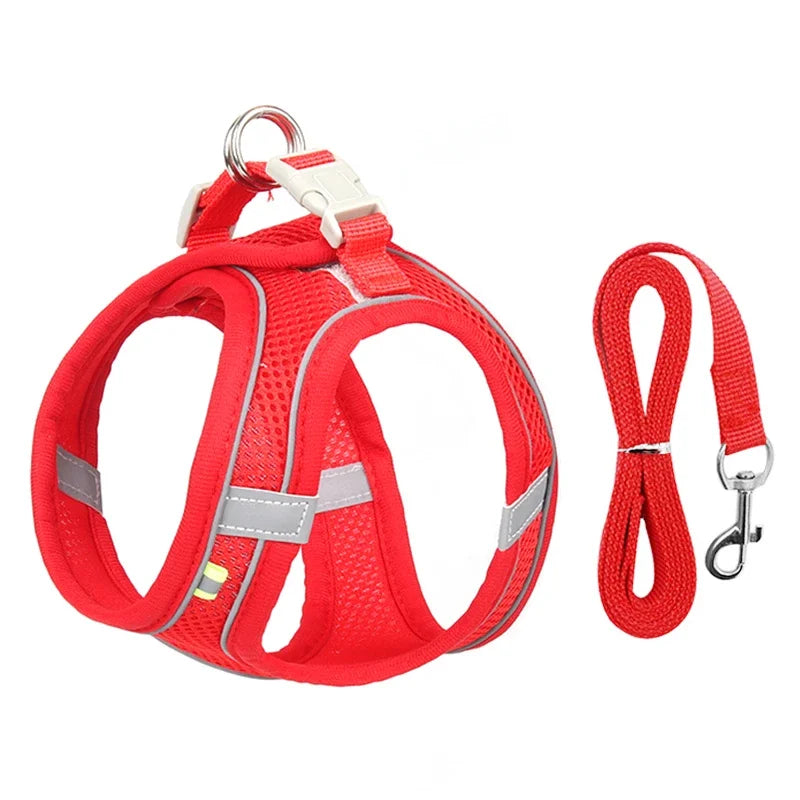 Ensemble harnais pour chiot
