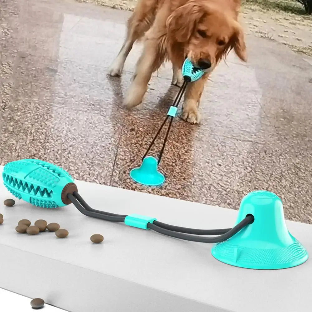 Jouet pour chien