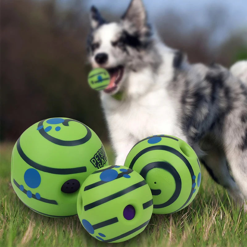 Jouet pour chien