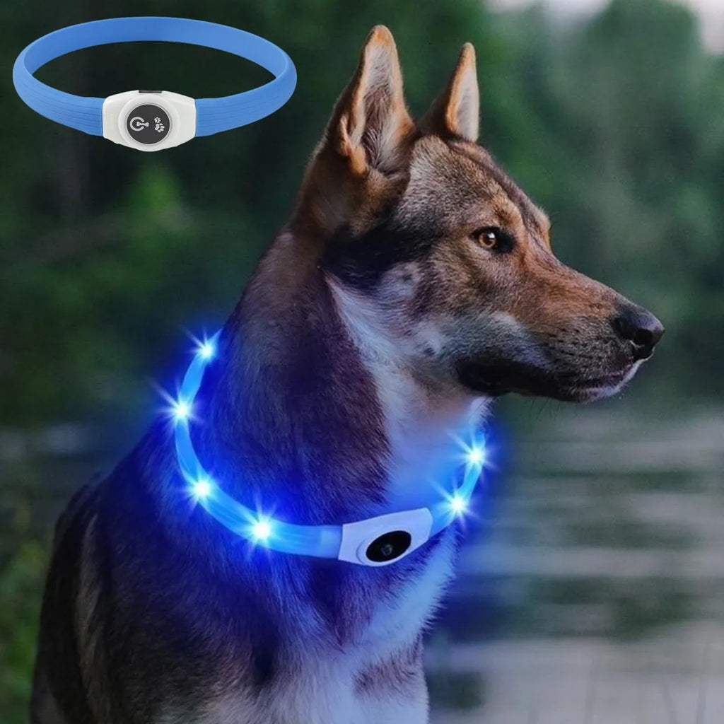 Collier lumineux LED étanche en PVC