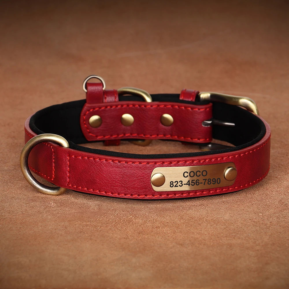 Collier