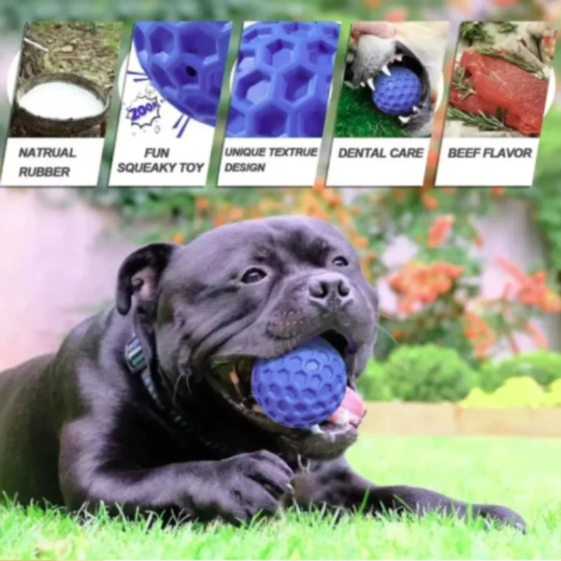 Balle interactive indestructible en caoutchouc à mâcher pour chiens de petite
