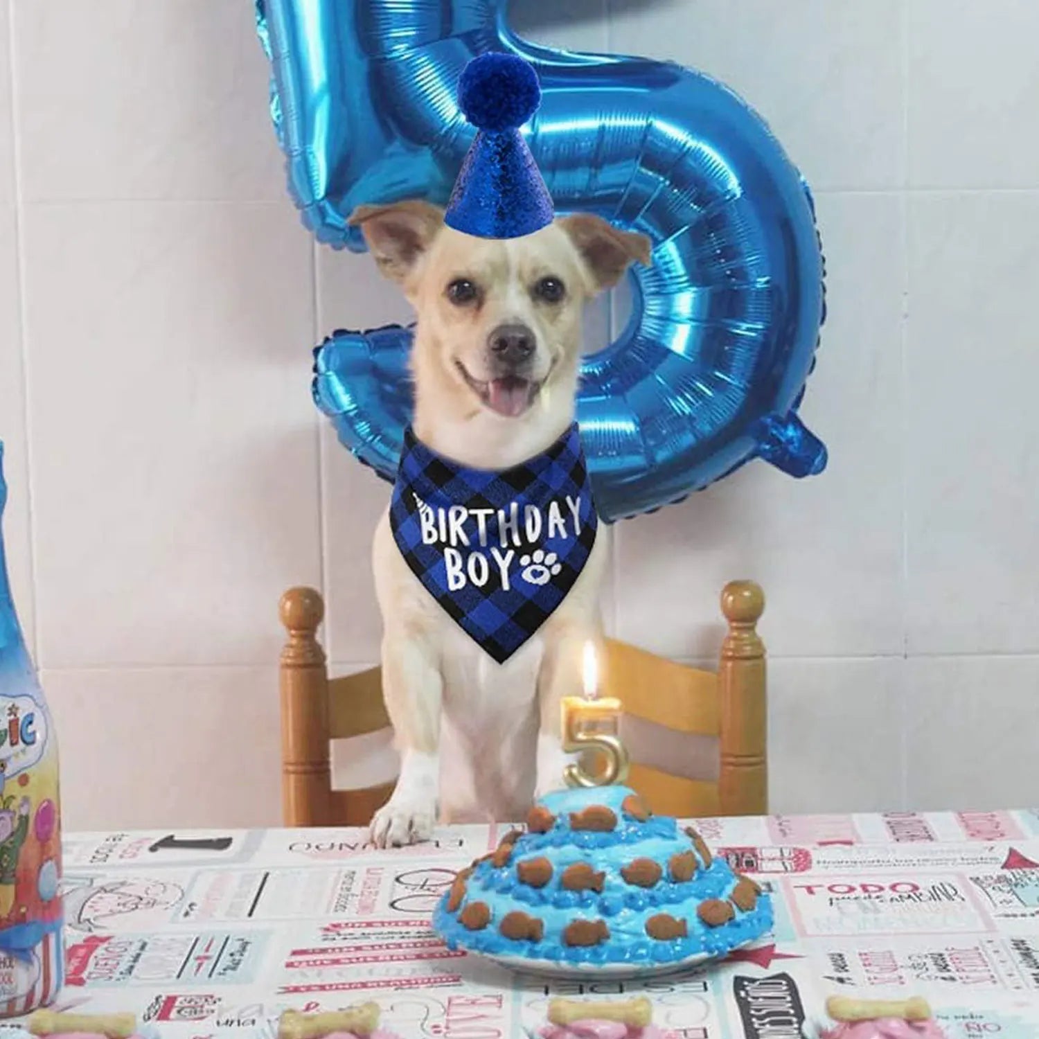 Ensemble de 4 articles pour fête d'anniversaire de chien : bandana « Birthday Boy », chapeau d'anniversaire avec chiffres pour chiens