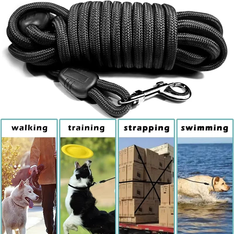Laisse en Nylon pour chien de 5m 10m 15m de Long