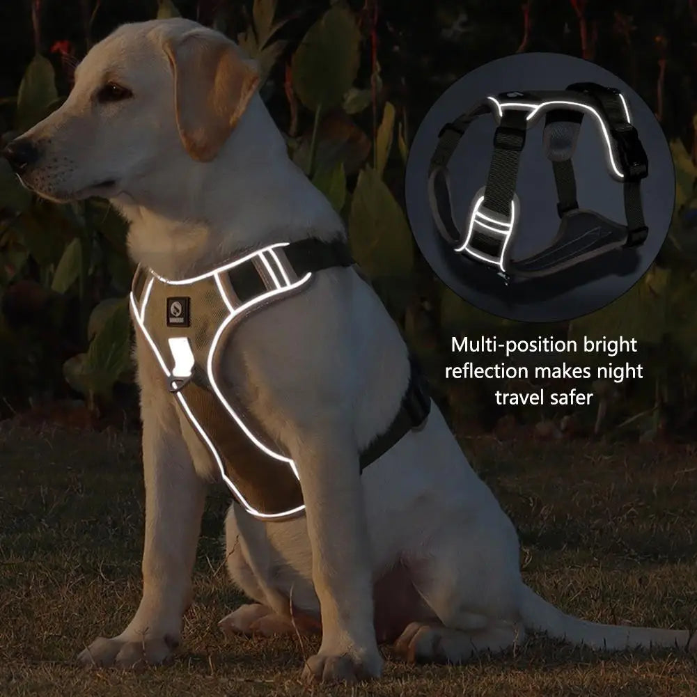 Harnais pour chien