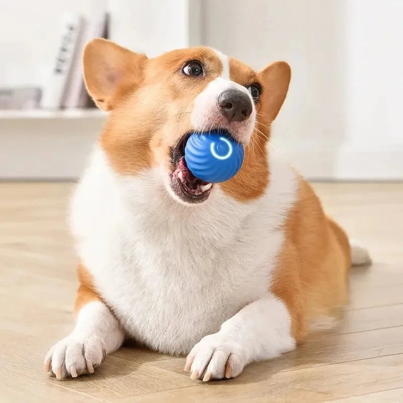 Balle jouet intelligente pour chien