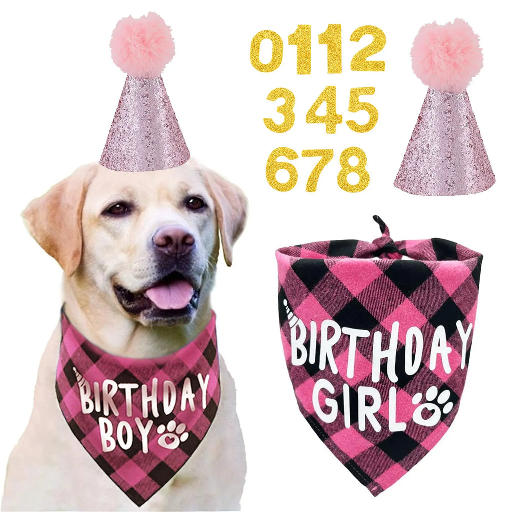 Ensemble de 4 articles pour fête d'anniversaire de chien : bandana « Birthday Boy », chapeau d'anniversaire avec chiffres pour chiens