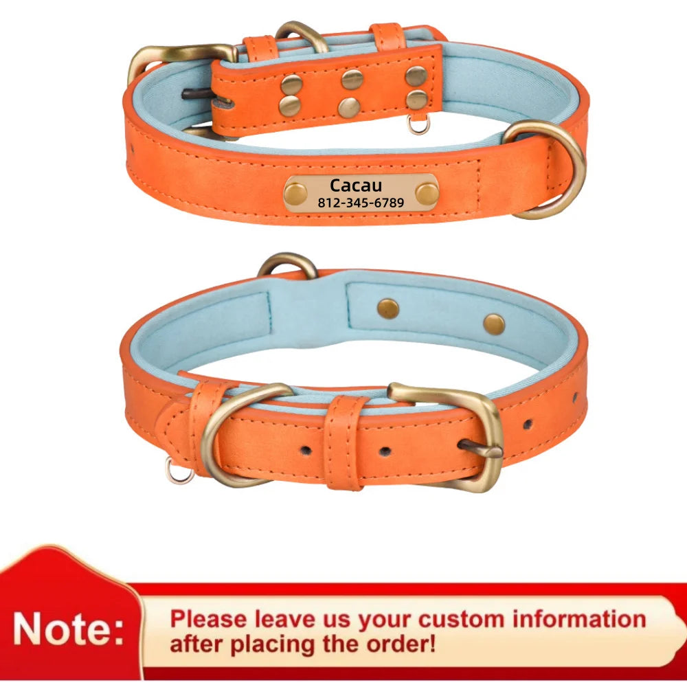 Collier pour chien