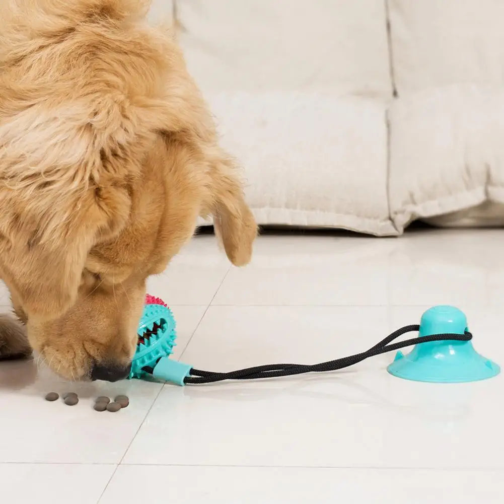 Jouet pour chien