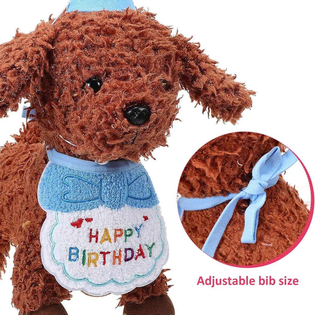 Décorations d'anniversaire pour animaux de compagnie