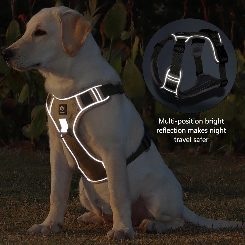Harnais pour chien
