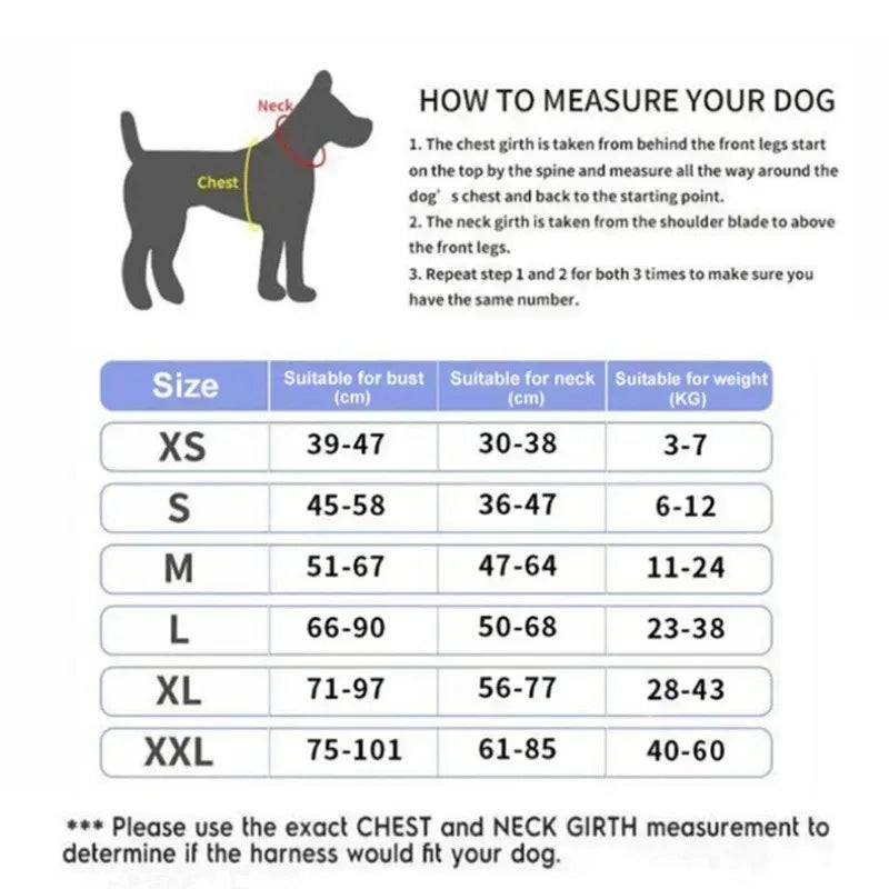 Harnais pour chien personnalisé, réfléchissant et réglable