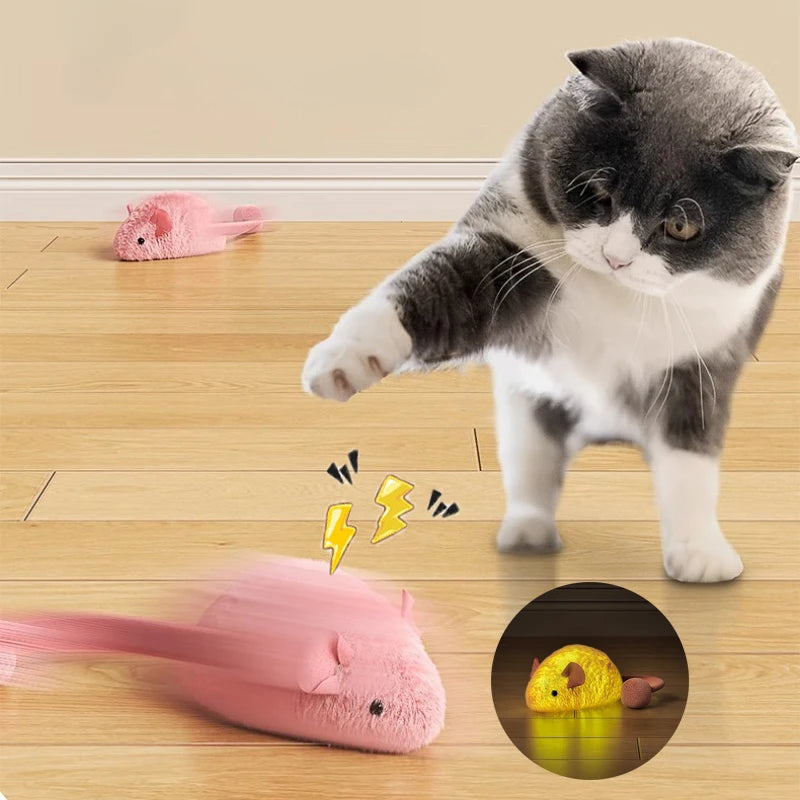 Souris en peluche interactive pour chat