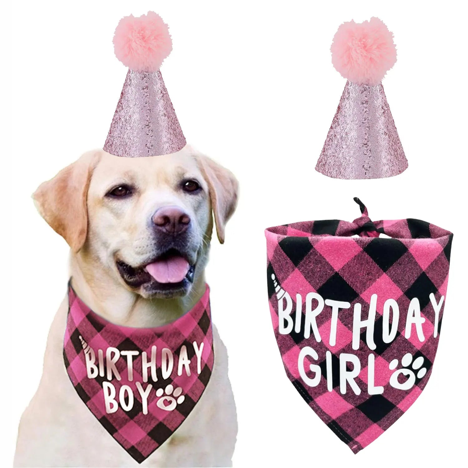Ensemble de 4 articles pour fête d'anniversaire de chien : bandana « Birthday Boy », chapeau d'anniversaire avec chiffres pour chiens