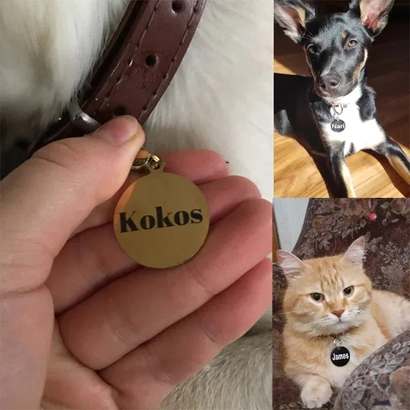 Collier pour animal de compagnie personnalisé avec gravure