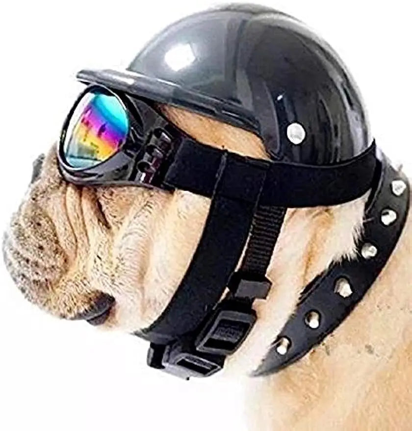Ensemble casque et lunettes de protection pour animaux