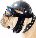 Ensemble casque et lunettes de protection pour animaux