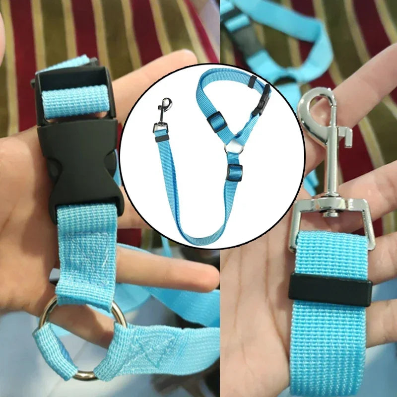 Ceinture de sécurité pour chien en voiture