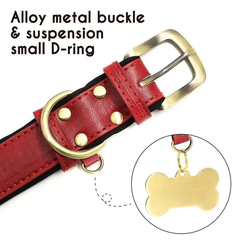 Collier pour chien