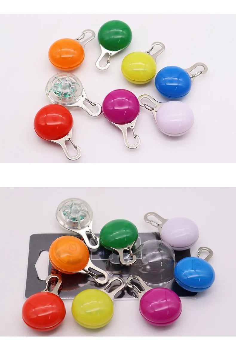 Collier lumineux LED pour chien et chat