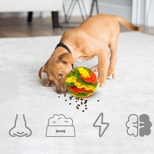 Balle à fouiller interactive pour chiens