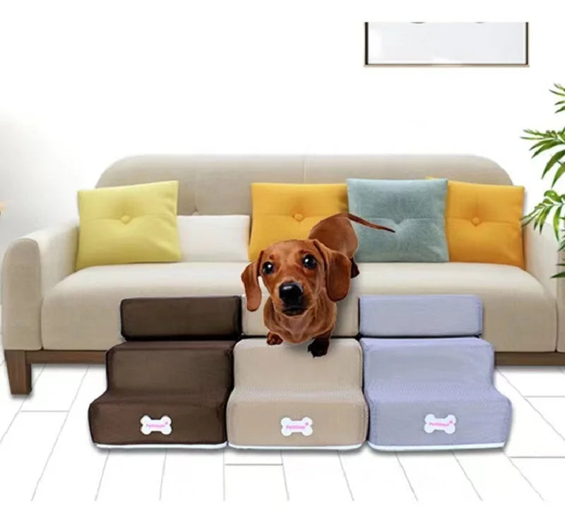 Escalier pour chien