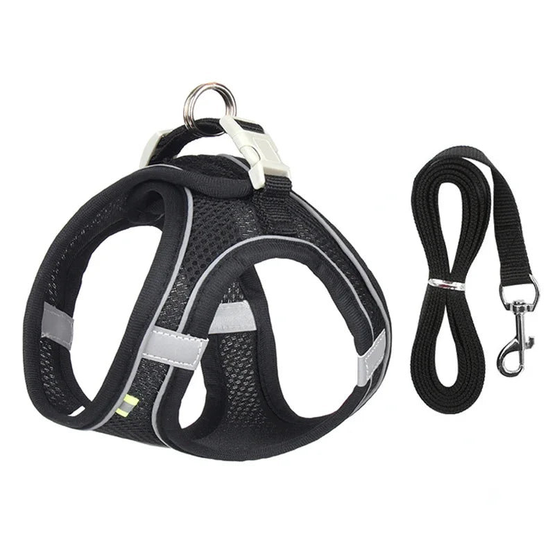 Ensemble harnais pour chiot