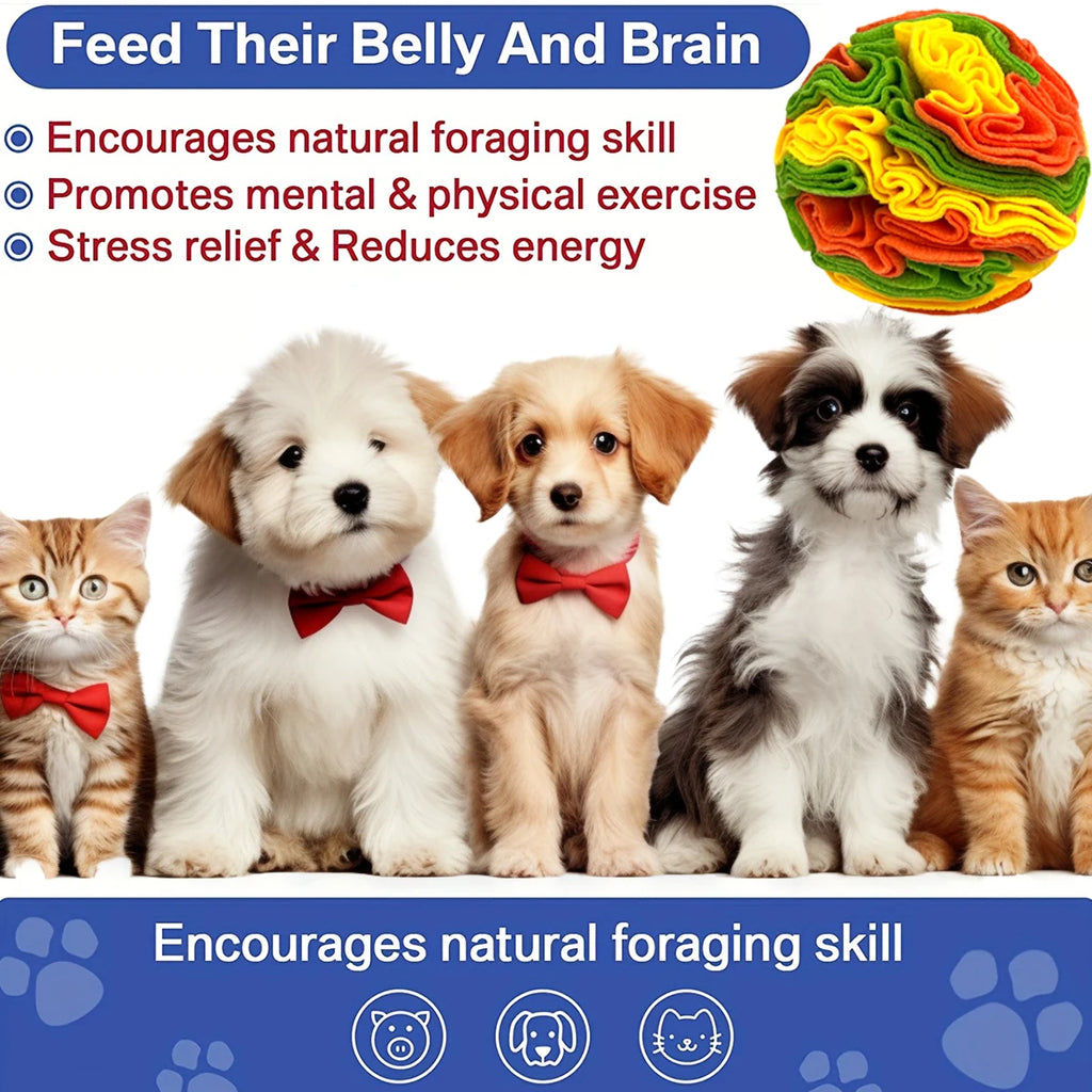 Balle à fouiller interactive pour chiens