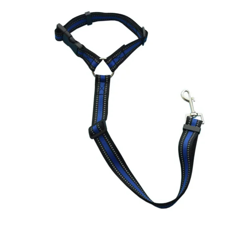 Ceinture de sécurité pour chien en voiture