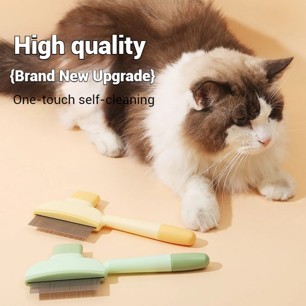 brosse de toilettage, élimine efficacement les poils morts