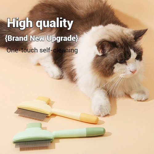 brosse de toilettage, élimine efficacement les poils morts