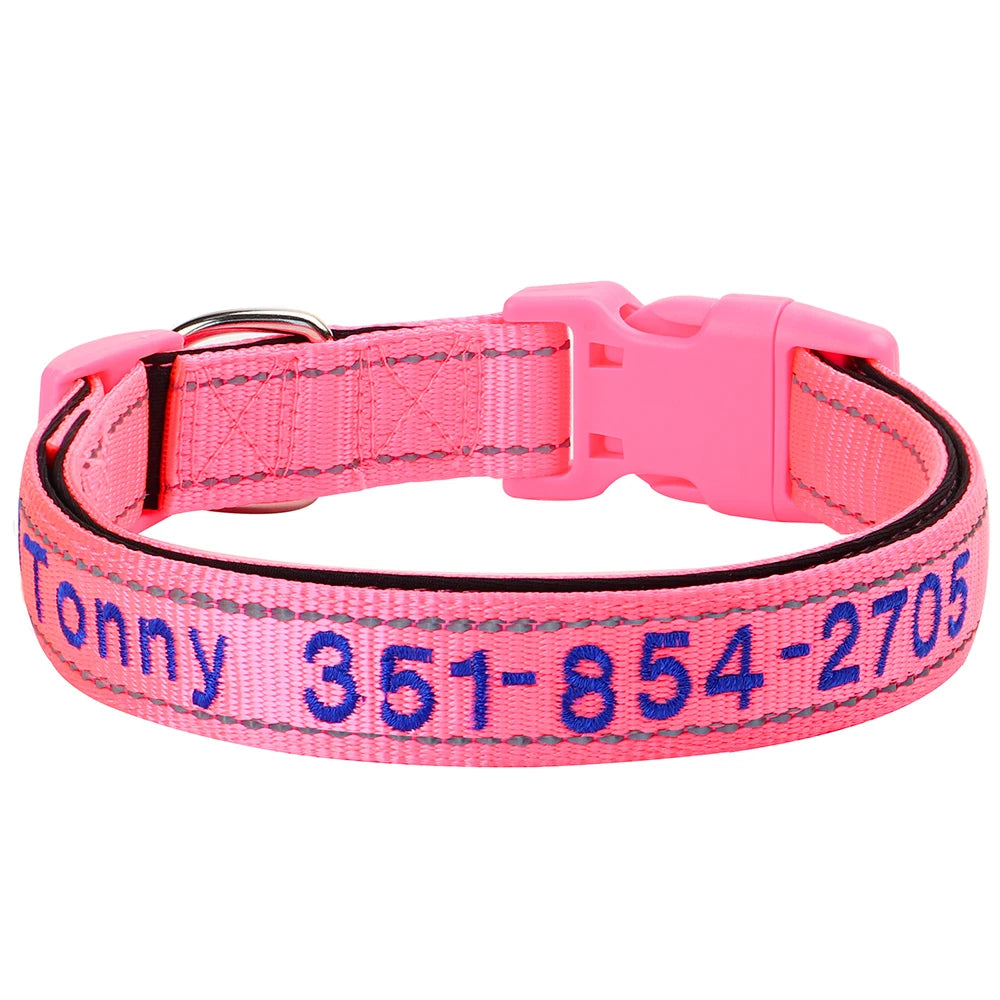 Collier pour chien