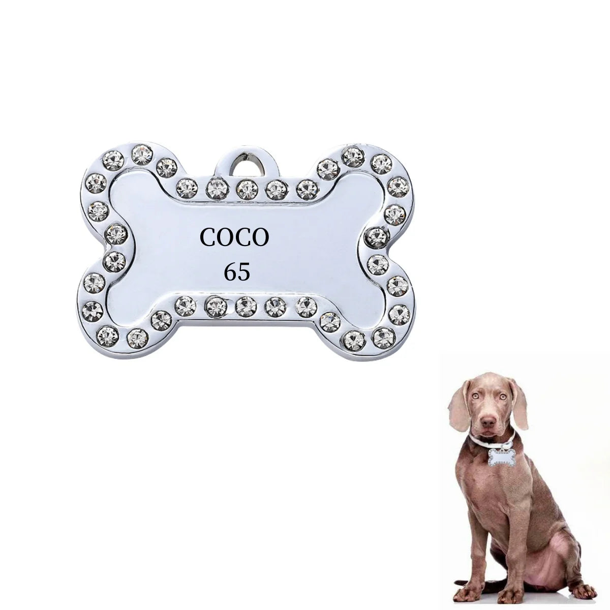 Collier VIP personnalisé avec numéro de téléphone et adresse