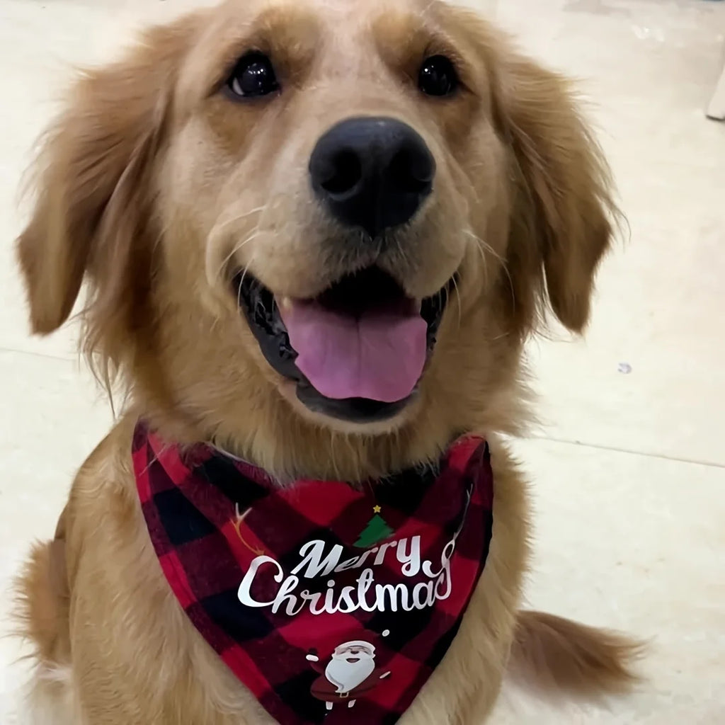 Bandana noel