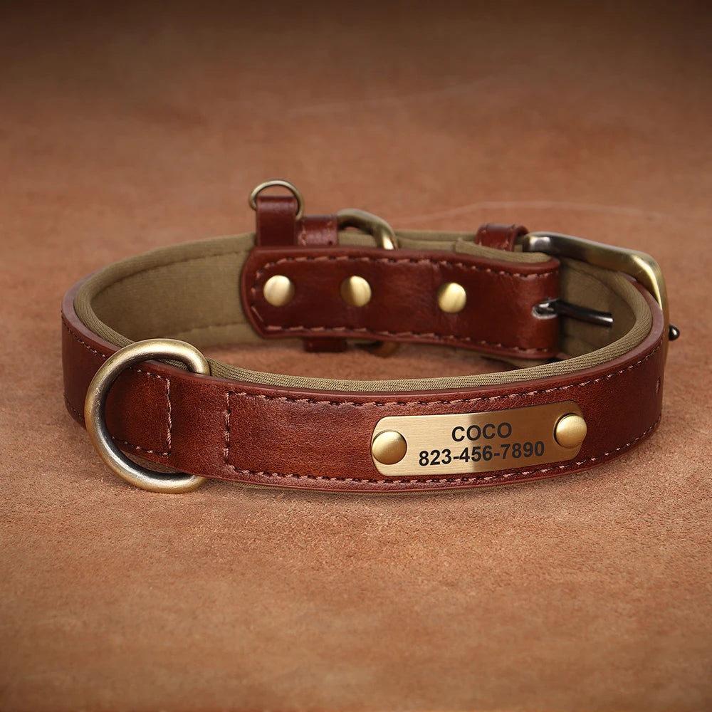 Collier