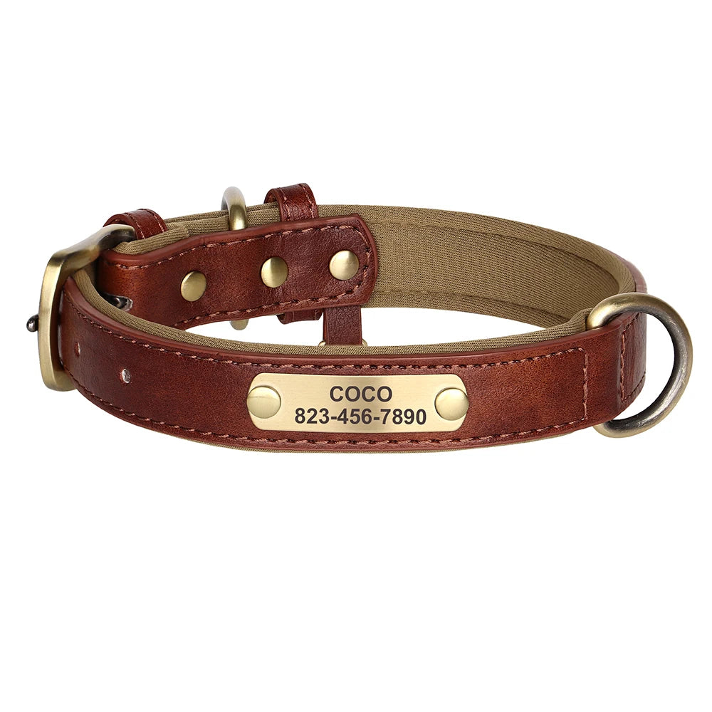 Collier
