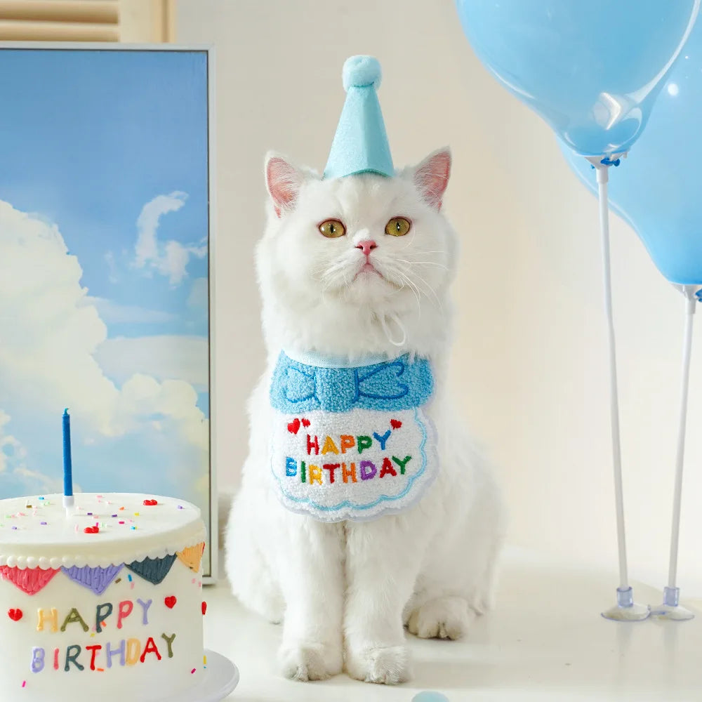 Décorations d'anniversaire pour animaux de compagnie