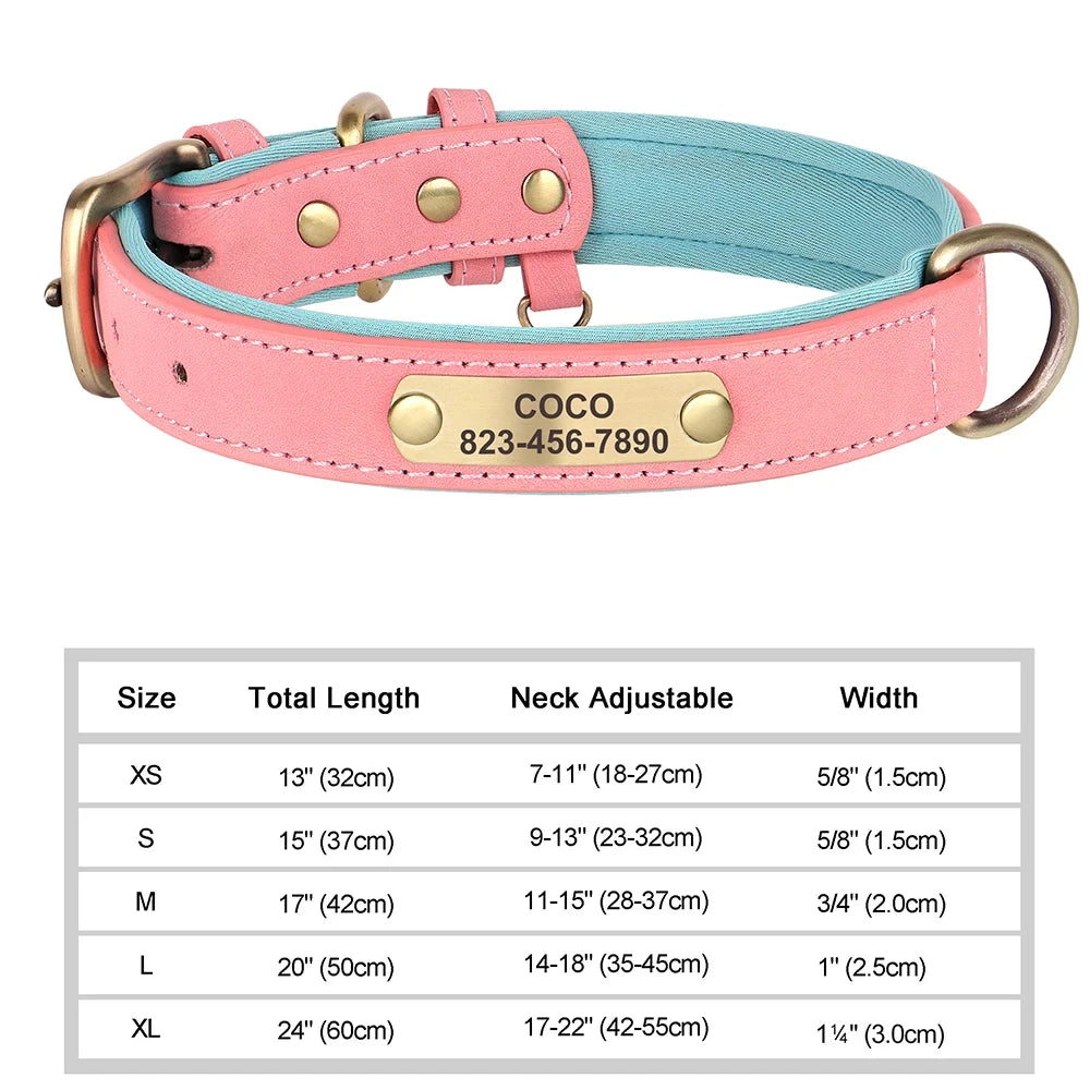 Collier pour chien