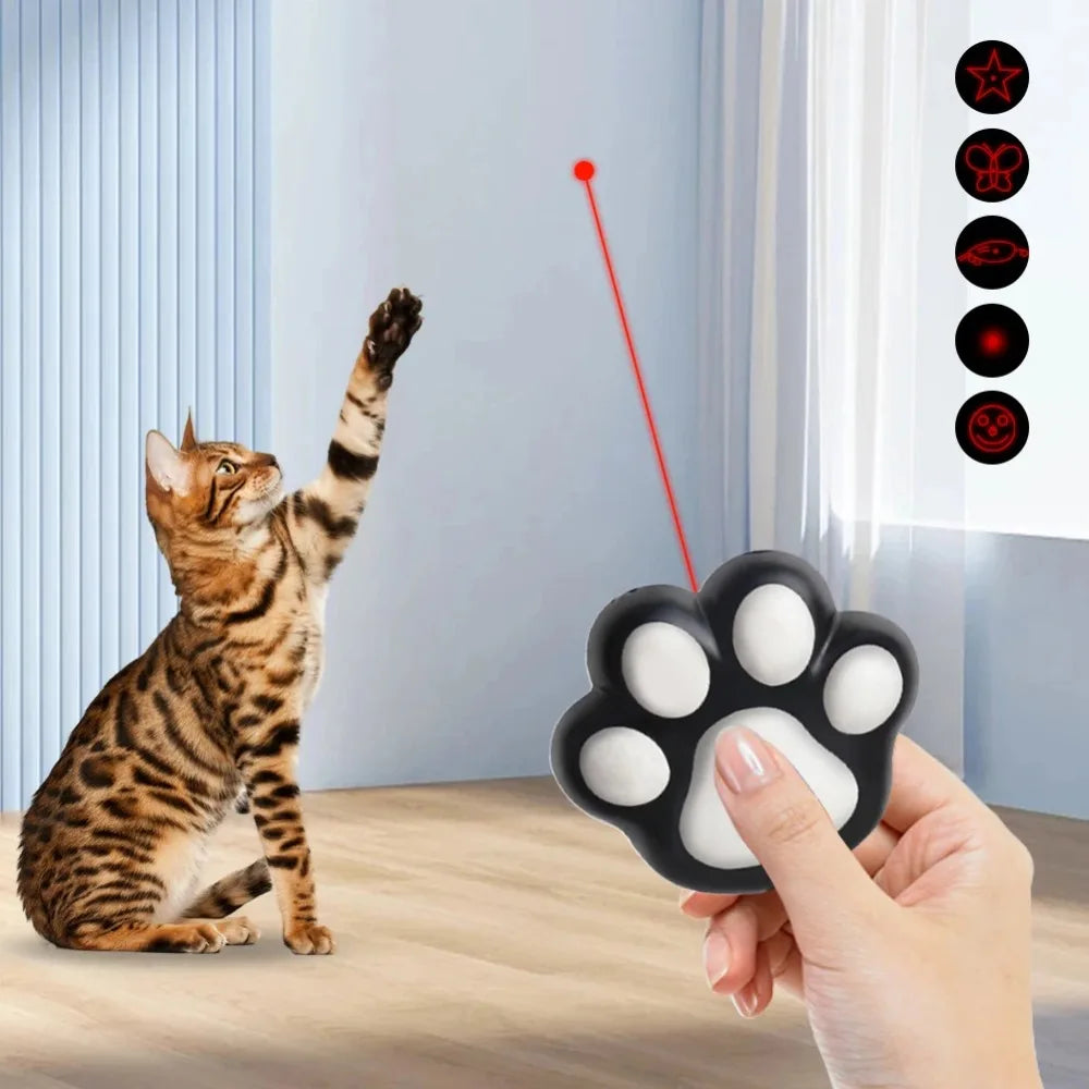 Jouet laser en forme de patte pour chat, rechargeable par USB