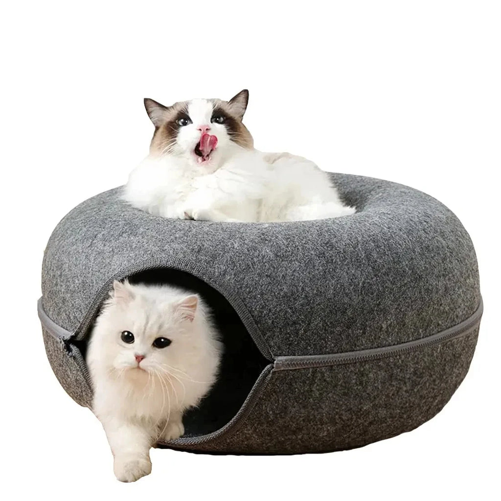 Tunnel interactif rond pour petits chats