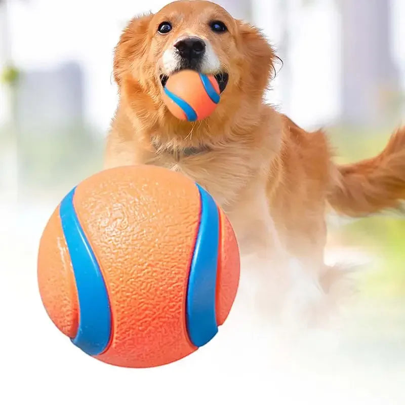 Balle résistante pour chien, jouet à rapporter
