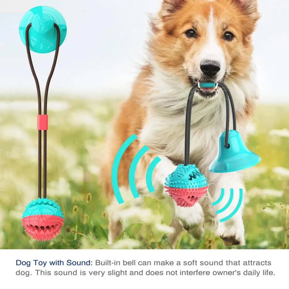 Jouet pour chien