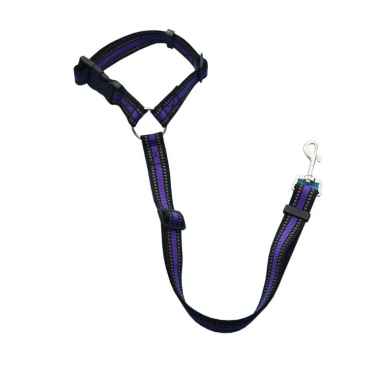 Ceinture de sécurité pour chien en voiture
