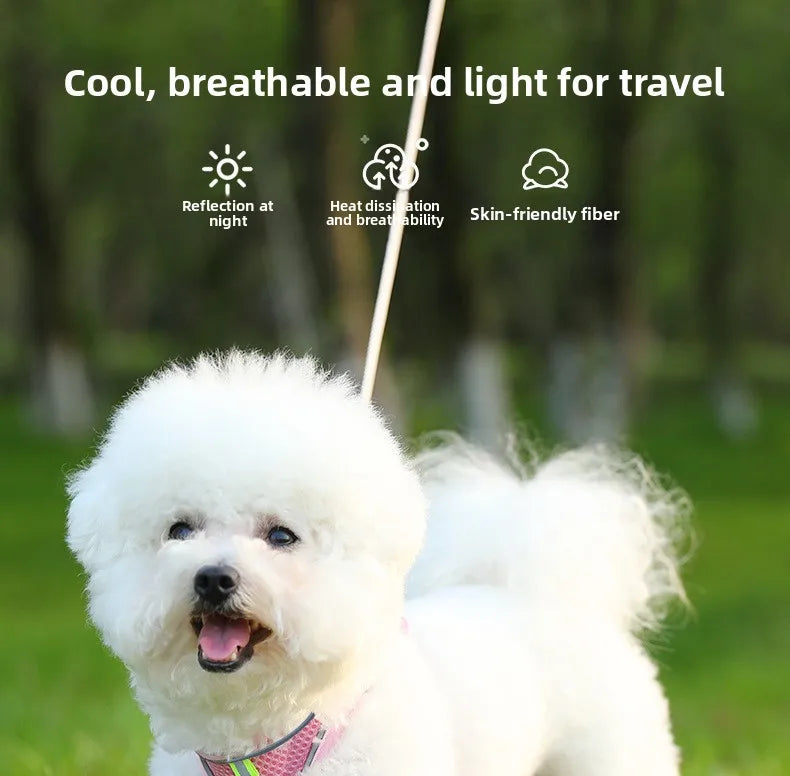Harnais pour chien