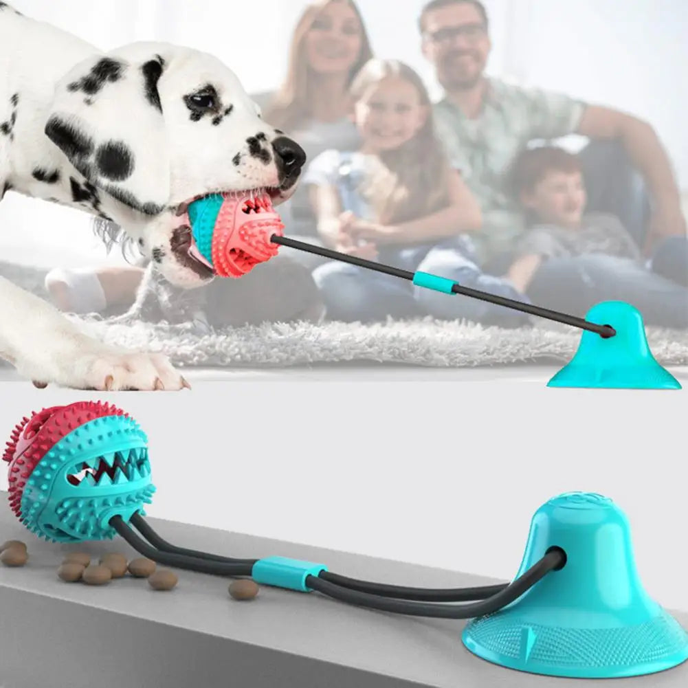 Jouet pour chien