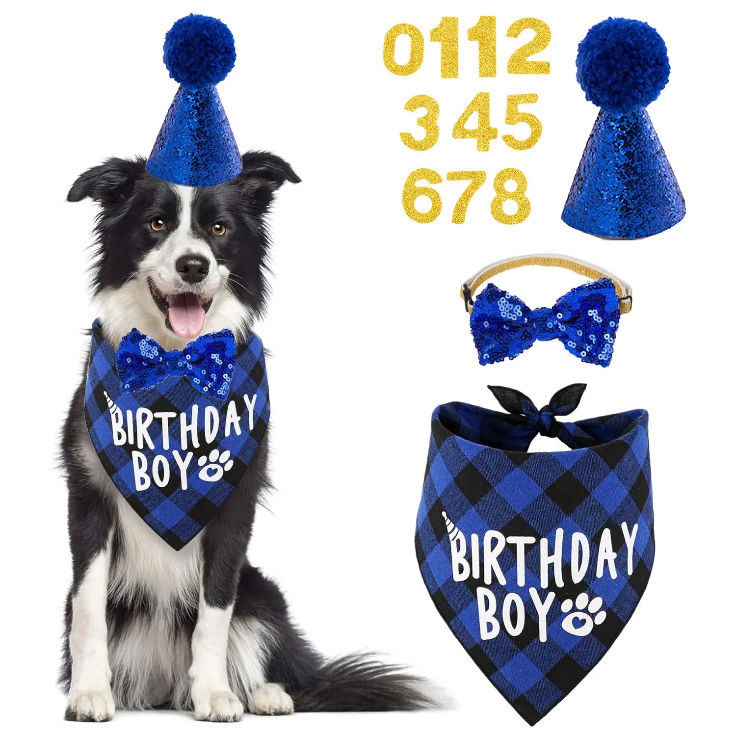 Ensemble de 4 articles pour fête d'anniversaire de chien : bandana « Birthday Boy », chapeau d'anniversaire avec chiffres pour chiens
